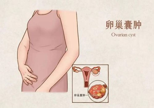 吃肉怕堵奶，哺乳期妈妈如何补充营养？