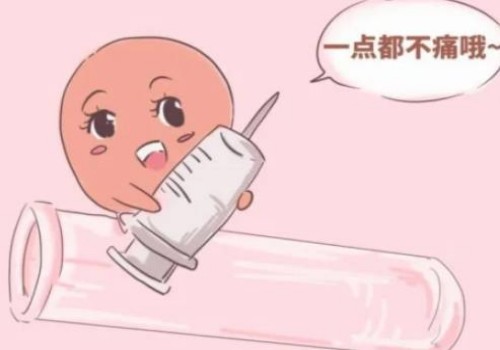 广州试管婴儿价格：来月经前大便出血的症状是什么,月经来之前大便出血怎么办