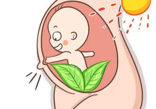 广州试管婴儿价格：卵巢早衰患者应该如何进行饮食调理？有哪些食物可以帮助改善症状？